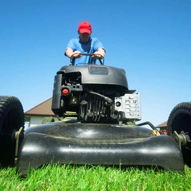 Easy Ways To Improve Your Lawn
